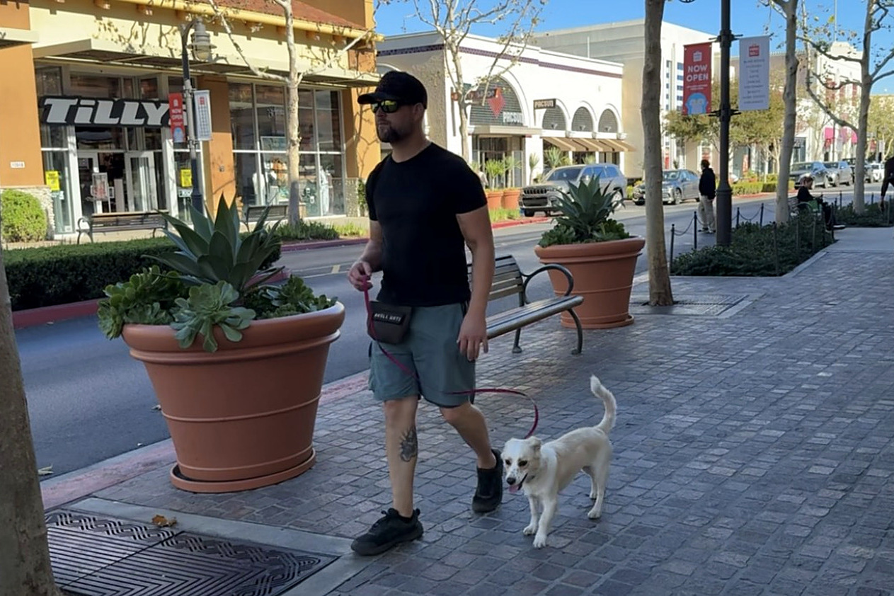 Loose-leash walk downtown with a small white dog