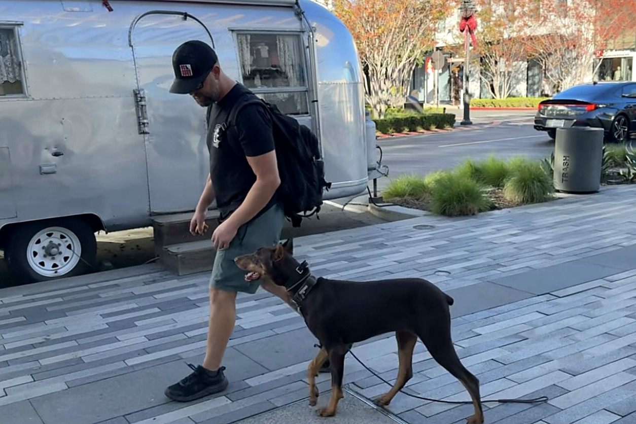 Dog training near Corona
