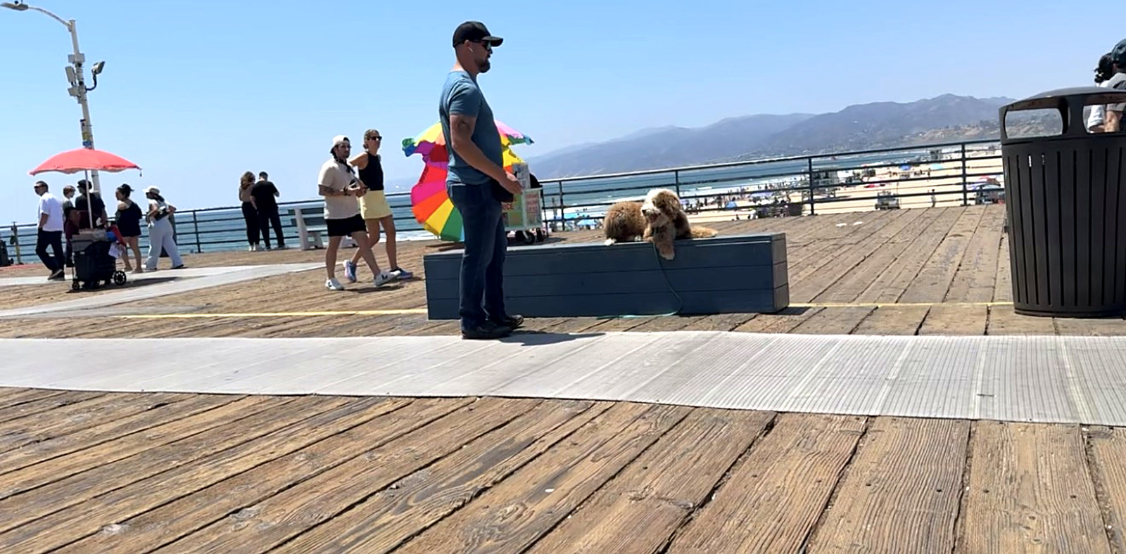 Dog training near Chino Hills