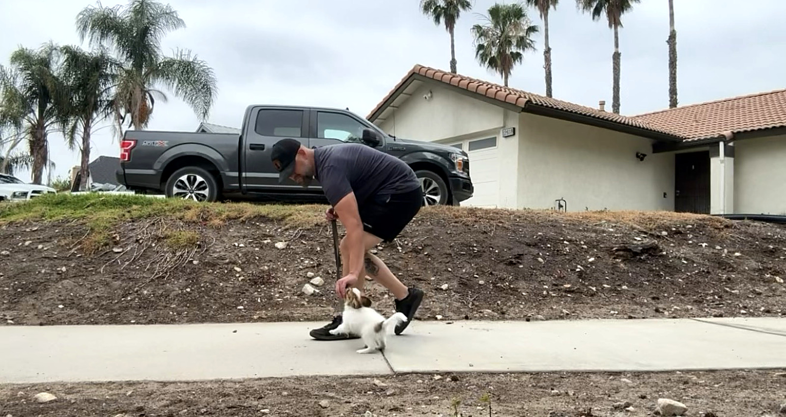 Dog training near Indio