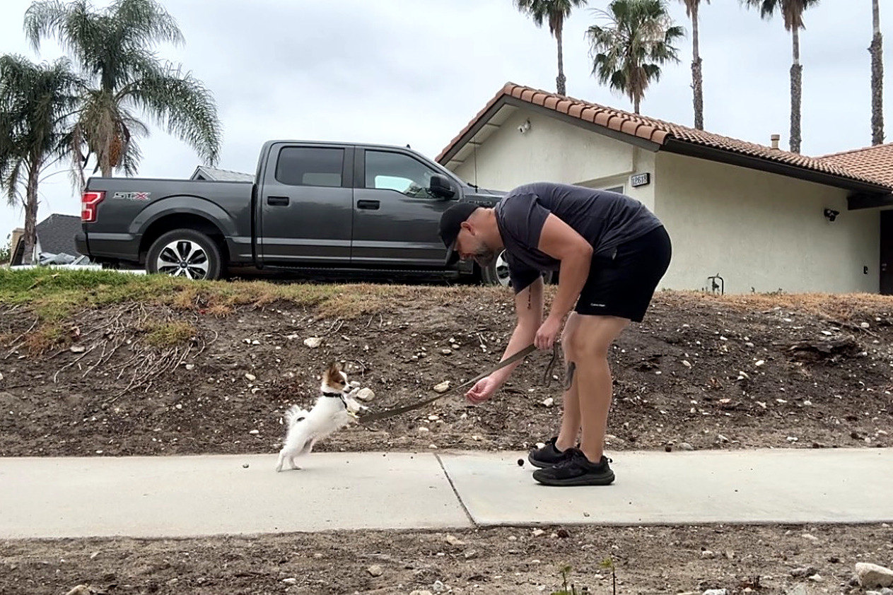 One-on-one training with a small dog on a sidewalk